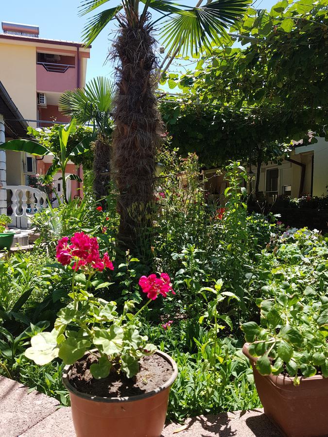 Apartments Ana Dojran Екстер'єр фото
