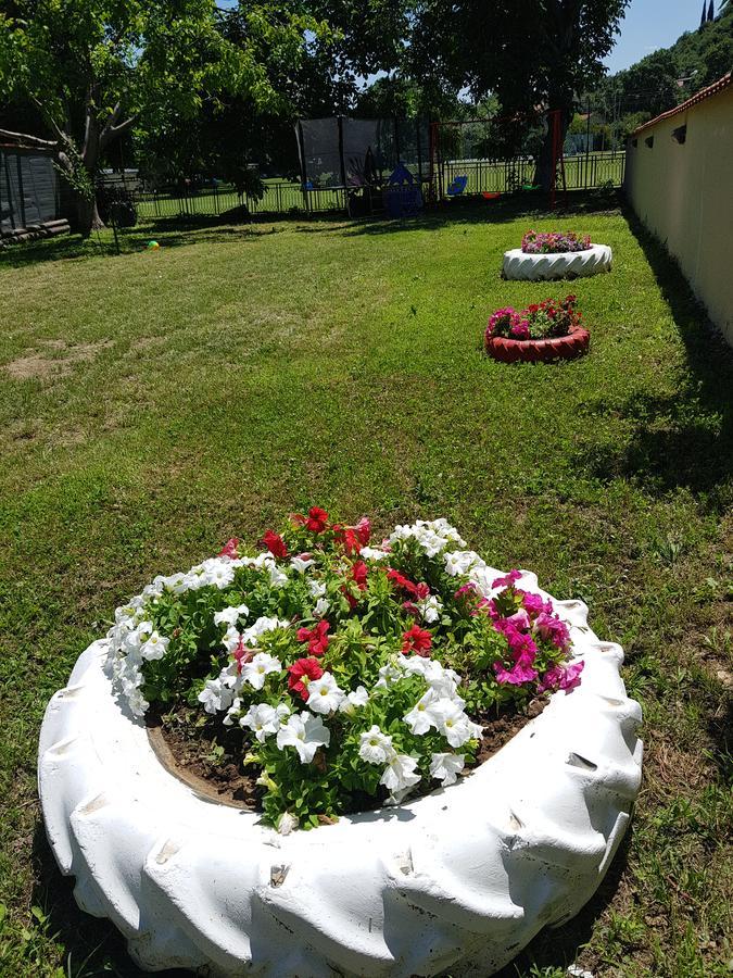 Apartments Ana Dojran Екстер'єр фото